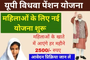 Vidhava Pension Yojana UP